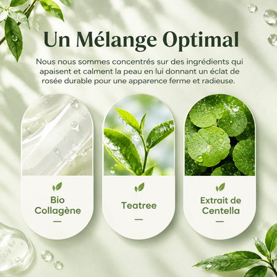 Masque Bio-Collagène & Tea Tree